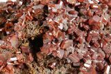 Fiery, Red-Brown Wulfenite Cluster - Kuruktag Mountains, China #361063-1